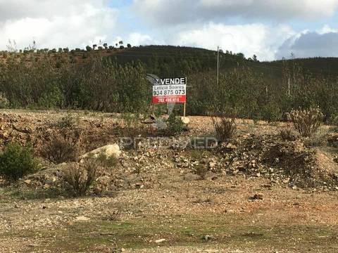 Terreno rústico com grande potencial