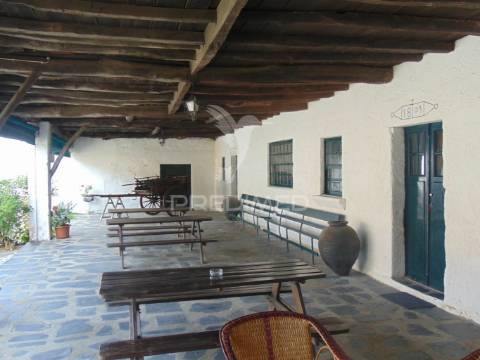 Quinta de turismo rural na zona demarcada do douro