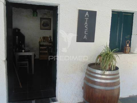 Quinta de turismo rural na zona demarcada do douro