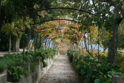 Quinta de turismo rural na zona demarcada do douro