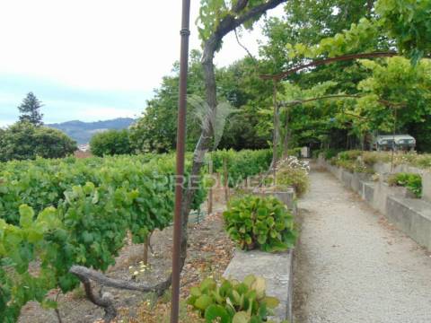 Quinta de turismo rural na zona demarcada do douro