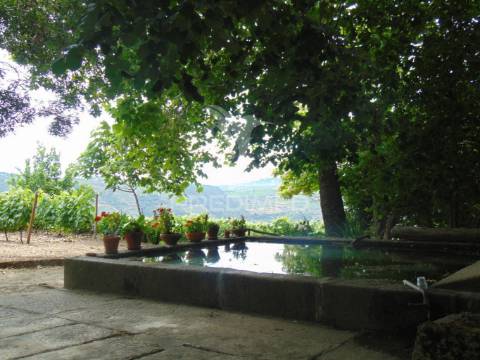 Quinta de turismo rural na zona demarcada do douro