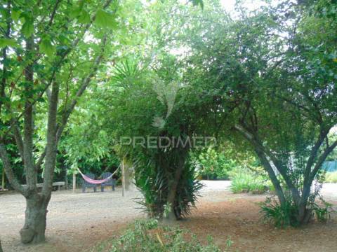 Quinta de turismo rural na zona demarcada do douro