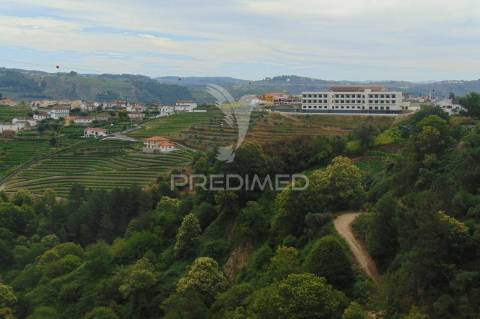 Quinta de turismo rural na zona demarcada do douro
