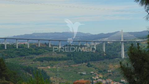 Quinta de turismo rural na zona demarcada do douro