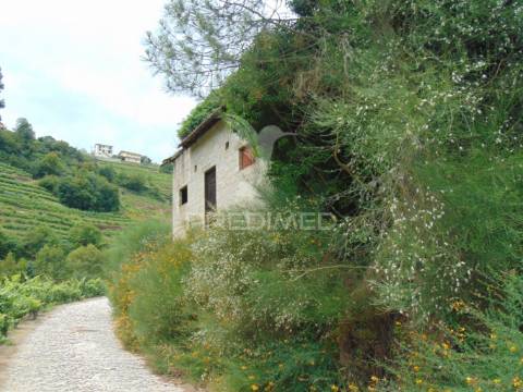 Quinta de turismo rural na zona demarcada do douro
