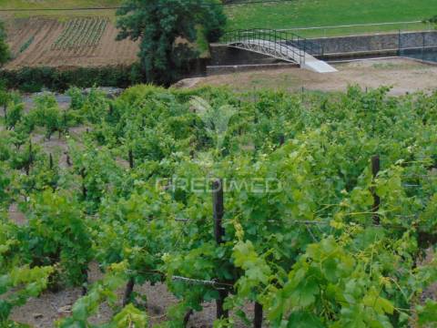 Quinta de turismo rural na zona demarcada do douro