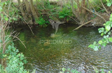 Quinta de turismo rural na zona demarcada do douro