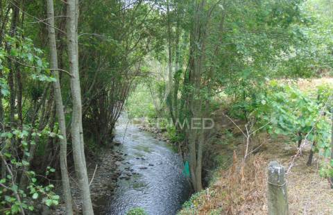 Quinta de turismo rural na zona demarcada do douro