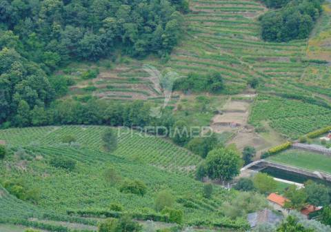 Quinta de turismo rural na zona demarcada do douro