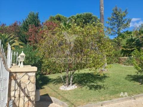 Almancil - moradia com piscina e jardim / private villa located in a green area