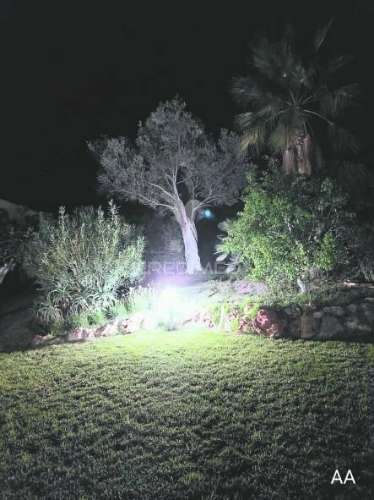 Almancil - moradia com piscina e jardim / private villa located in a green area