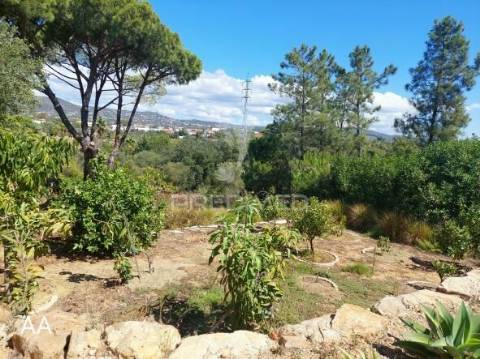 Almancil - moradia com piscina e jardim / private villa located in a green area