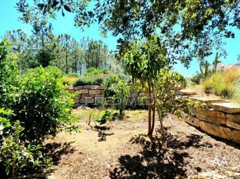 Almancil - moradia com piscina e jardim / private villa located in a green area