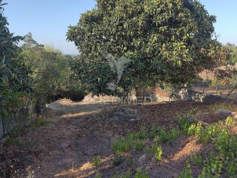 Terreno de 1200 m² nas laranjeiras