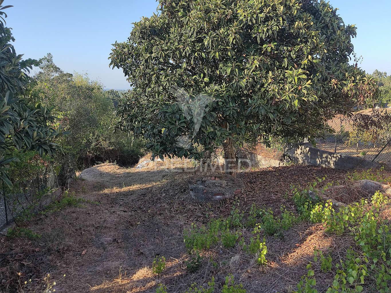 Terreno de 1200 m² nas laranjeiras