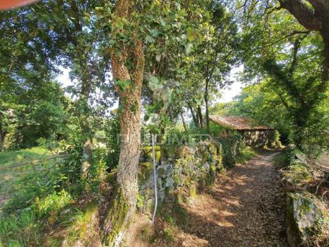 Quintinha - construa a moradia dos seus sonhos