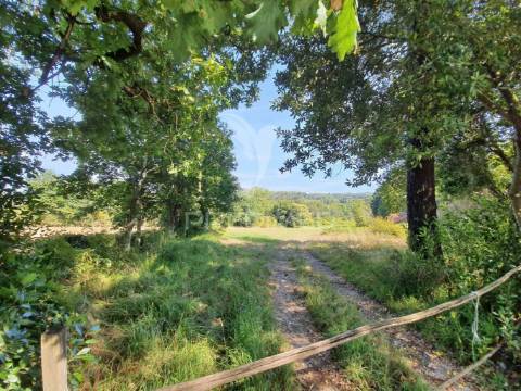 Quintinha - construa a moradia dos seus sonhos