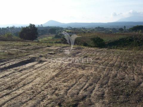Terreno aveiras de cima - 30 minutos de lisboa