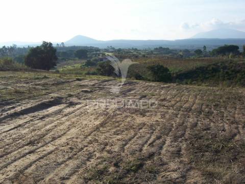 Terreno aveiras de cima - 30 minutos de lisboa