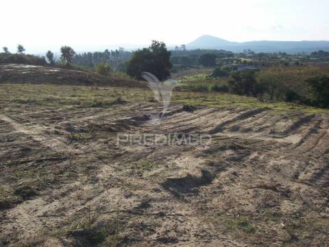 Terreno aveiras de cima - 30 minutos de lisboa