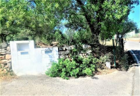 Terreno rustico -santo estevão-tavira