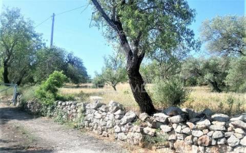 Terreno rustico -santo estevão-tavira