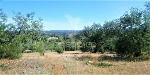 Terreno rustico -santo estevão-tavira