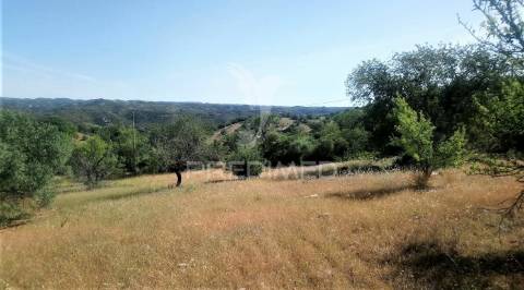 Terreno rustico -santo estevão-tavira