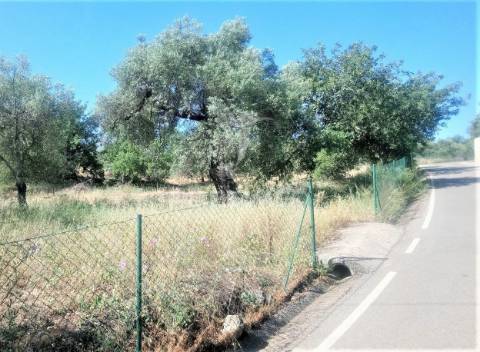Terreno rustico -santo estevão-tavira