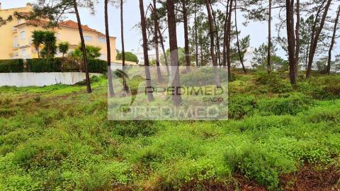 Lote de terreno soltroia