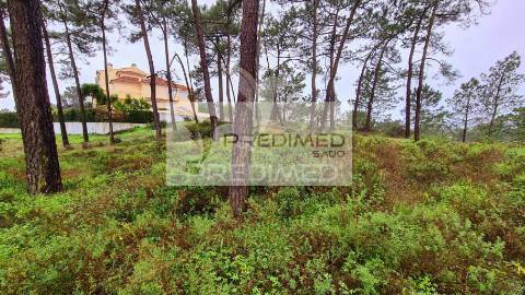 Lote de terreno soltroia