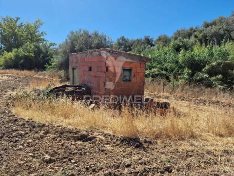 Terreno rustico - torrão