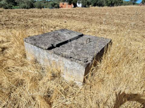 Terreno rustico - torrão