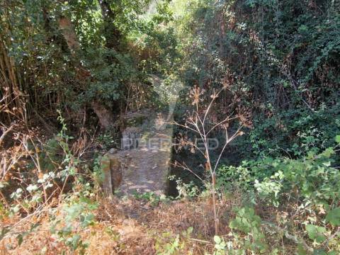 Terreno rustico - torrão