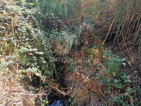 Terreno rustico - torrão