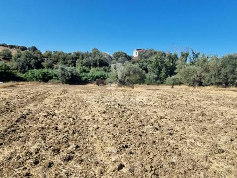 Terreno rustico - torrão