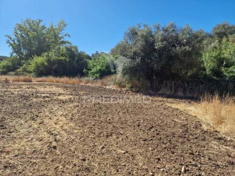 Terreno rustico - torrão