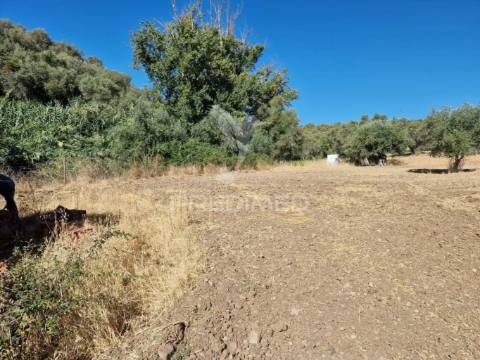 Terreno rustico - torrão