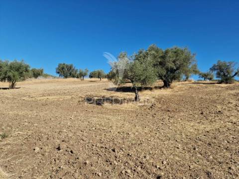 Terreno rustico - torrão