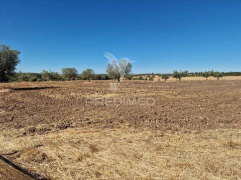 Terreno rustico - torrão