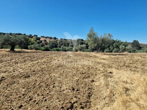 Terreno rustico - torrão