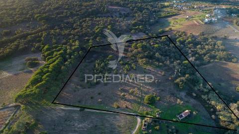 Quinta com ruína a 10km da lagoa de santo andré