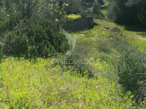 Terreno com vistas magníficas sobre o campo e o mar.
