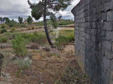 Quintinha em alijó - parque natural do vale do tua