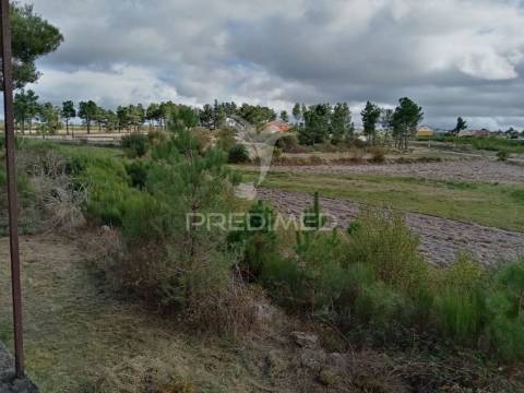 Quintinha em alijó - parque natural do vale do tua