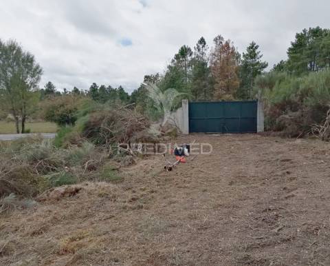 Quintinha em alijó - parque natural do vale do tua