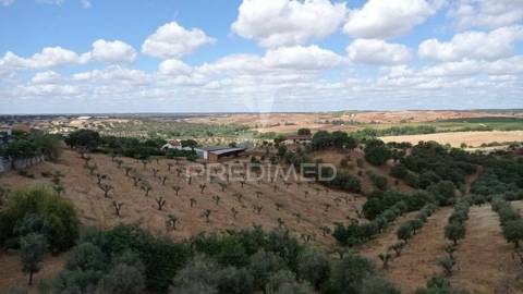 Casa de rés do chão e 1ºandar, seda.