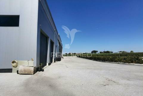 Excelente oportunidade de negocio  pavilhão-armazém  torre do bispo