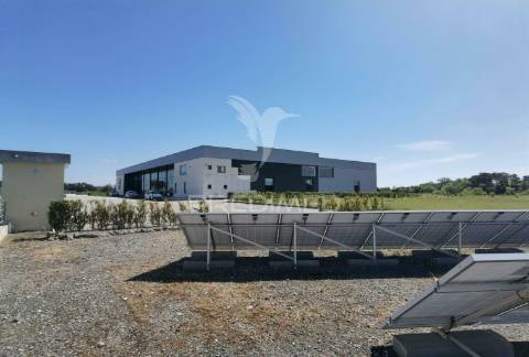 Excelente oportunidade de negocio  pavilhão-armazém  torre do bispo